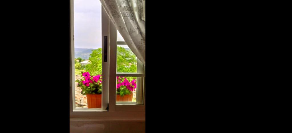 Vila Casa O Torgal Parada del Sil Pokoj fotografie